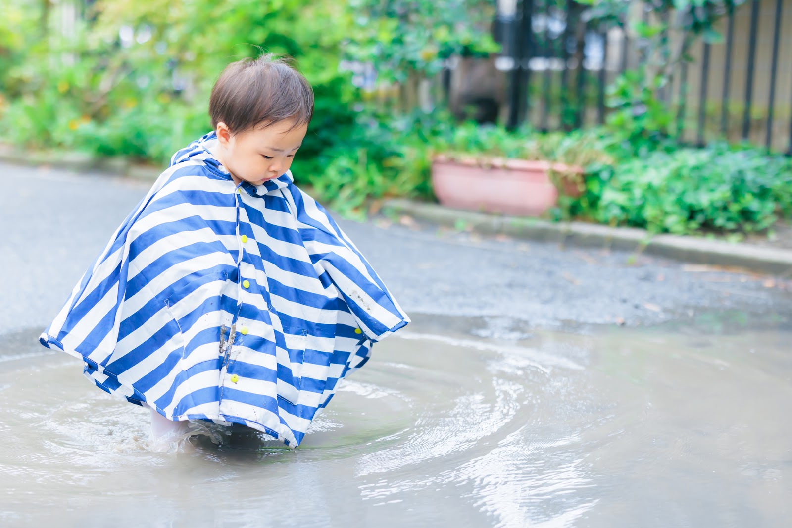 雨の日だから楽しめる外遊び「レインコートと長靴で水たまり探検隊」