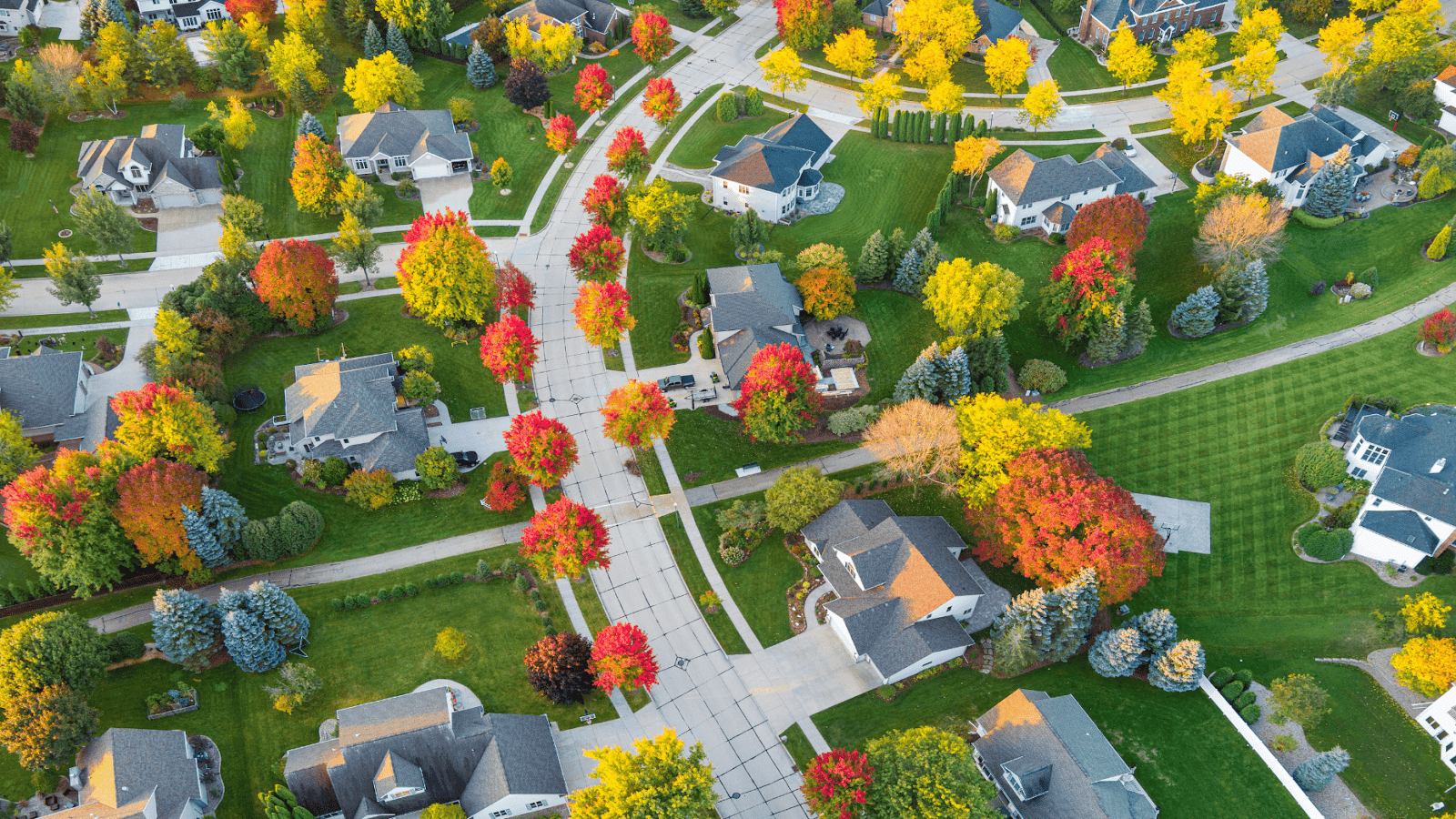 Quick Wins for Home Renovation