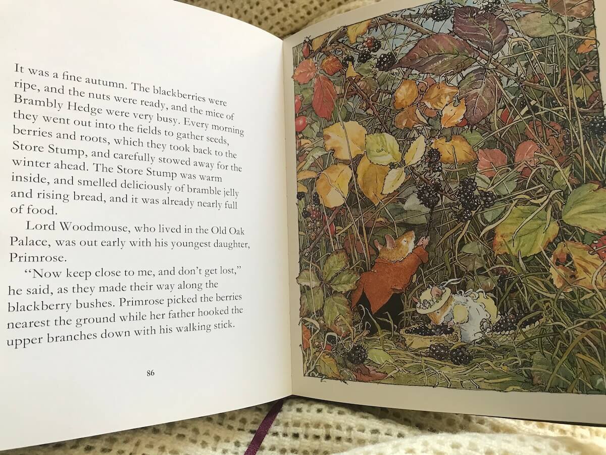 brambly hedge autumn gaelle chassery.jpg