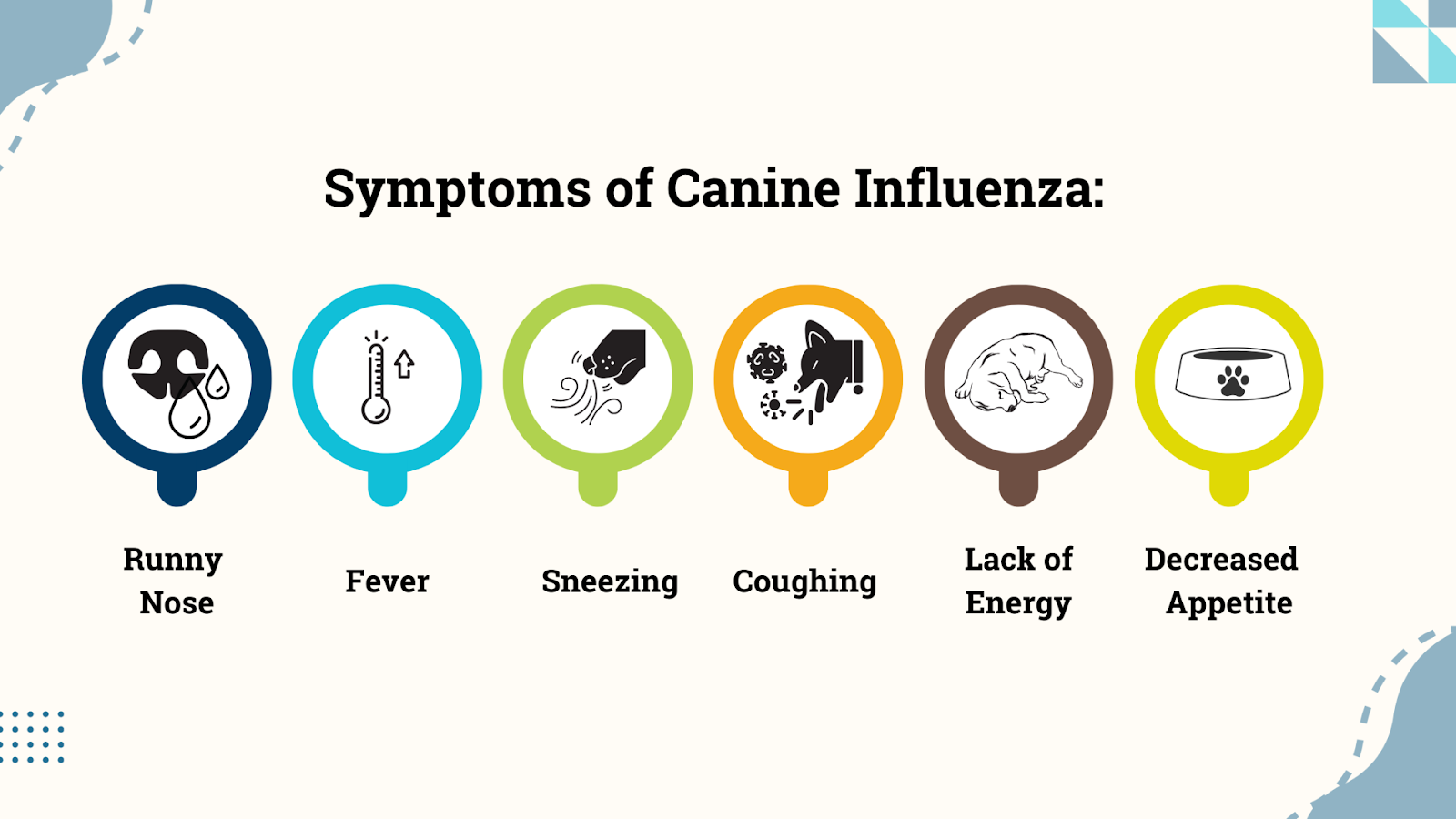Symptoms of canine influenza