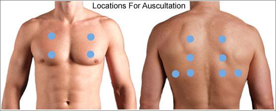 Thorax & Lungs: Auscultation