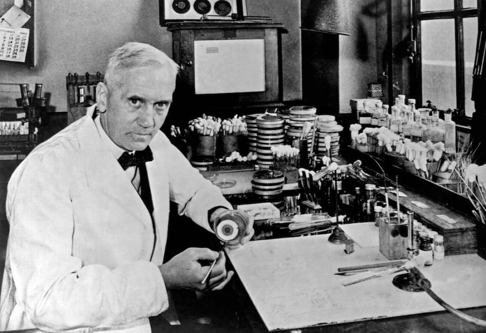 Alexander Fleming, pictured in his laboratory, 1943