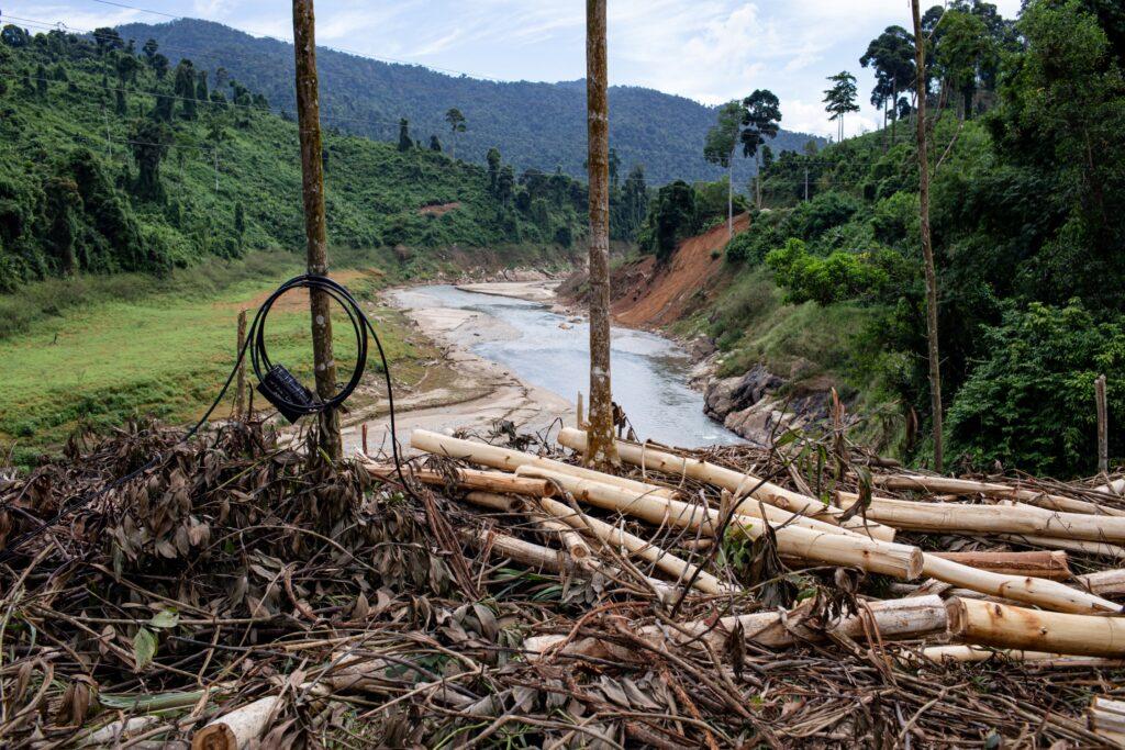 Vietnam acacia wood