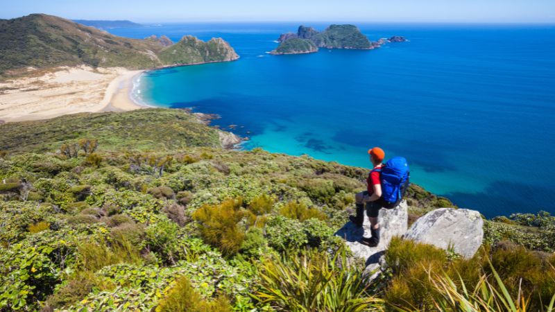A hiker looks out over the stunning coastal view of Rakiura National Park, featuring lush greenery, a vibrant blue ocean, and a secluded beach.