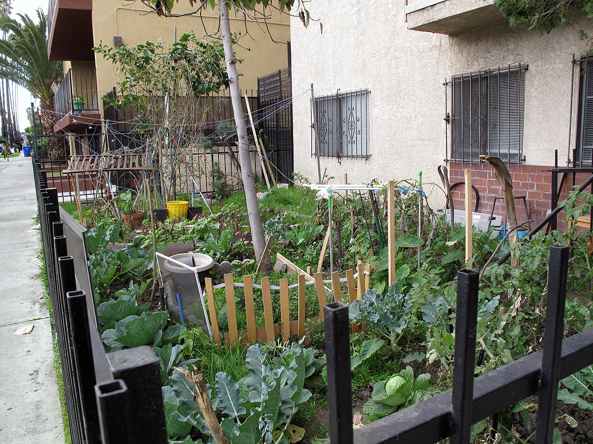 Front yard image courtesy of Wikimedia Commons. 