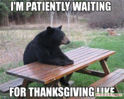 Bear sitting at a picnic table. Caption: I’m patiently waiting for thanksgiving like
