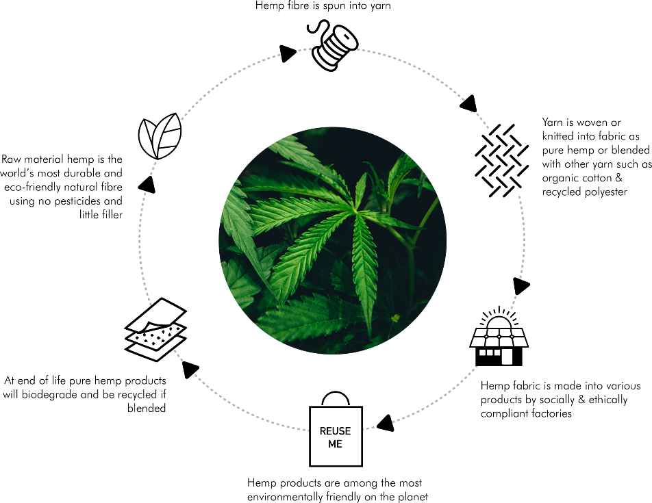 HEMP LIFECYCLE — Direct to Source