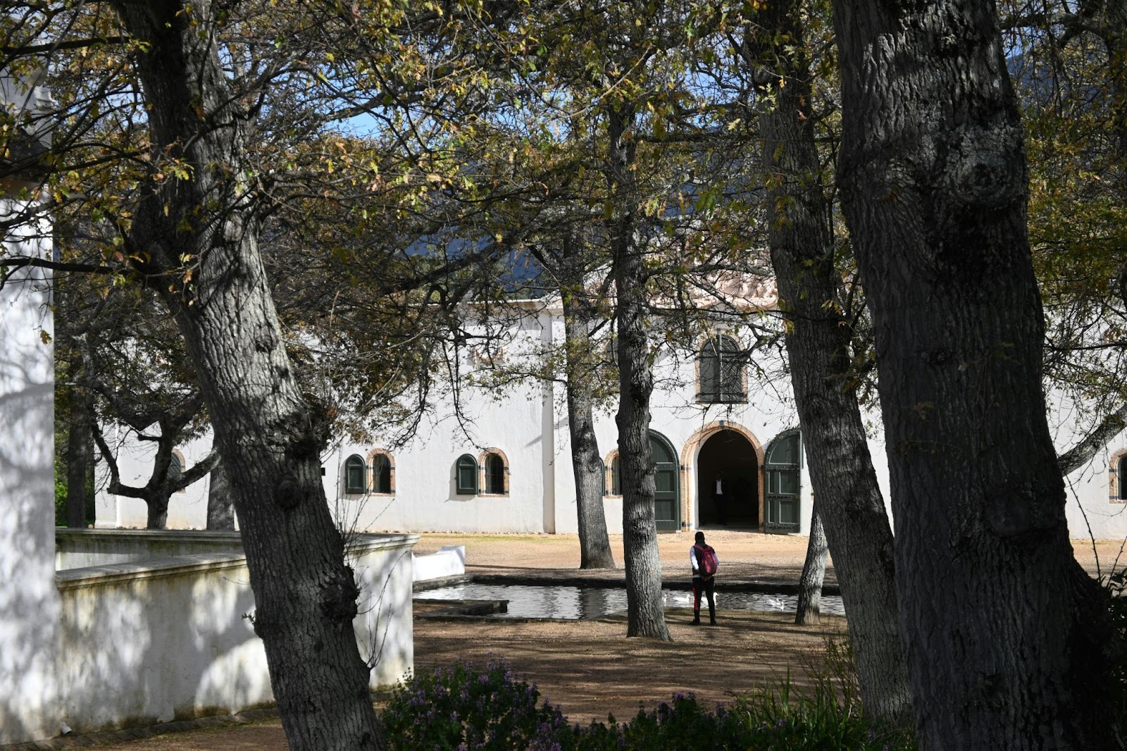 A view of the iconic Groot Constantia building