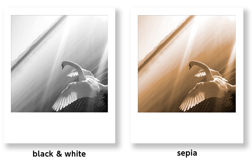 [photo] 2 of the same photo with a black and white and sepia filters applied to them
