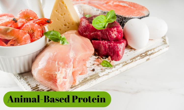 Animal-Based Protein Sources
