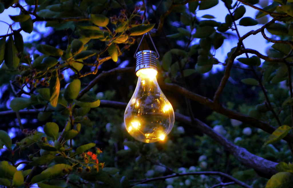 Solar Lights | Light bulbs hanging in the tree | Timo Newton-Syms | Flickr