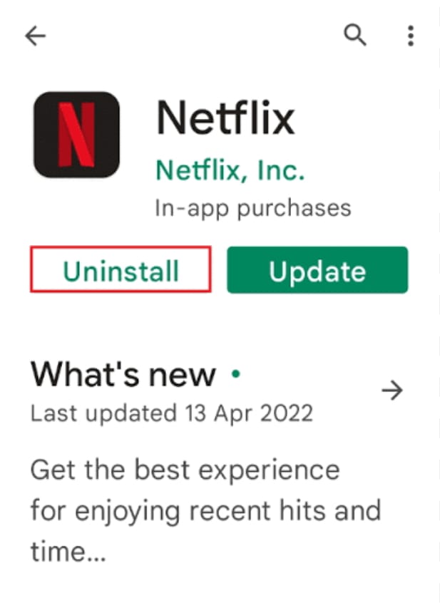 Update Netflix App