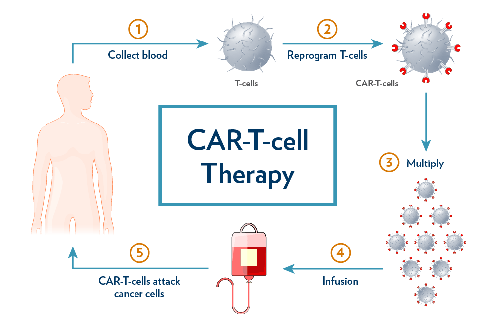 CAR T or chimeric antigen receptor T cell therapy | UPSC | Science and Technology | Current Affairs