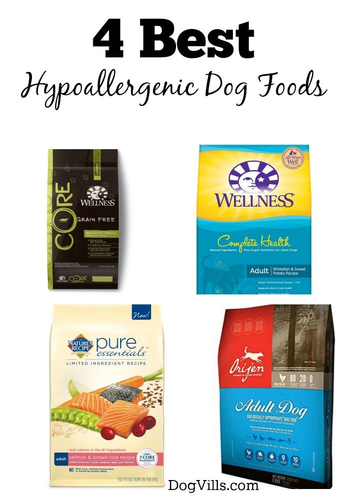 Best Dog Food for Allergies: Top Hypoallergenic Picks!