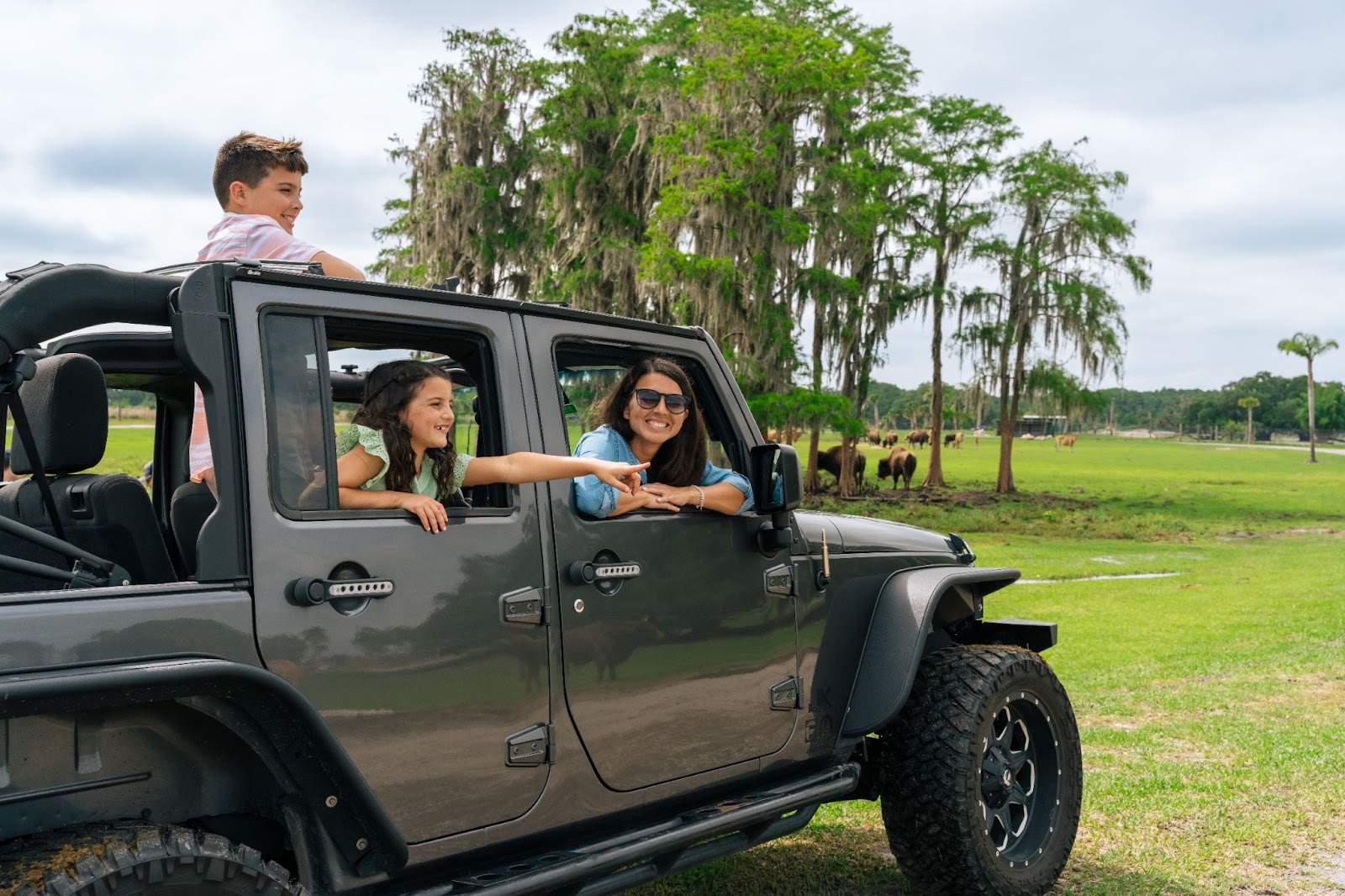 A family enjoys the drive-thru safari park on a sunny day at Wild Florida