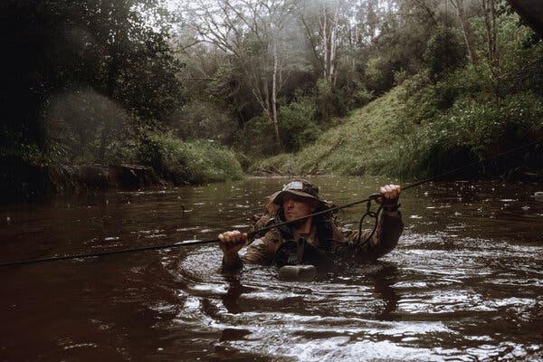 A soldier wades through a river amid a thicket of jungle.