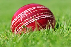 Cricket ball