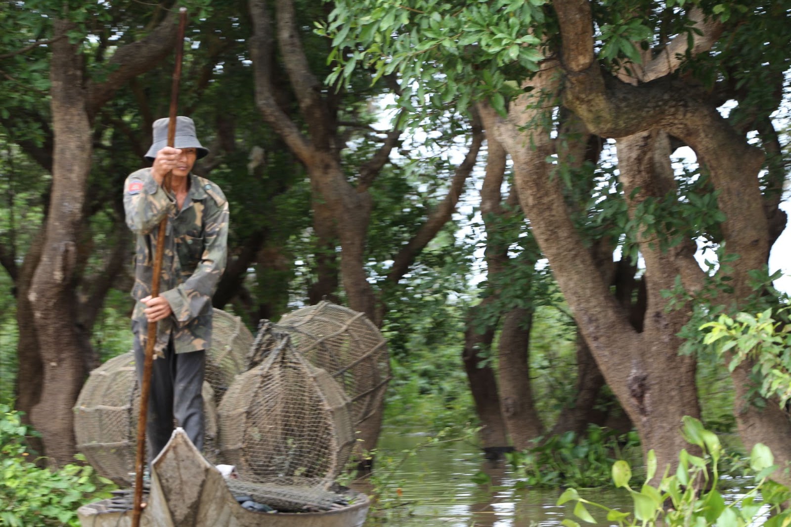 This is a fisherman wading through the flooded forests of Tonle Sap.