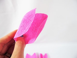 A focused close-up of the rose petal, gently held in Abbi Kirsten's hand. 