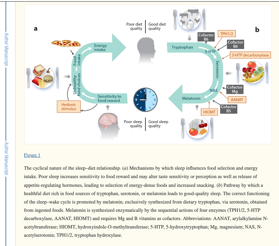 A diagram of a healthy diet

Description automatically generated