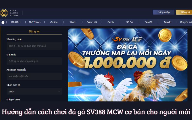 Hướng dẫn cách chơi đá gà SV388 MCW cơ bản cho người mới