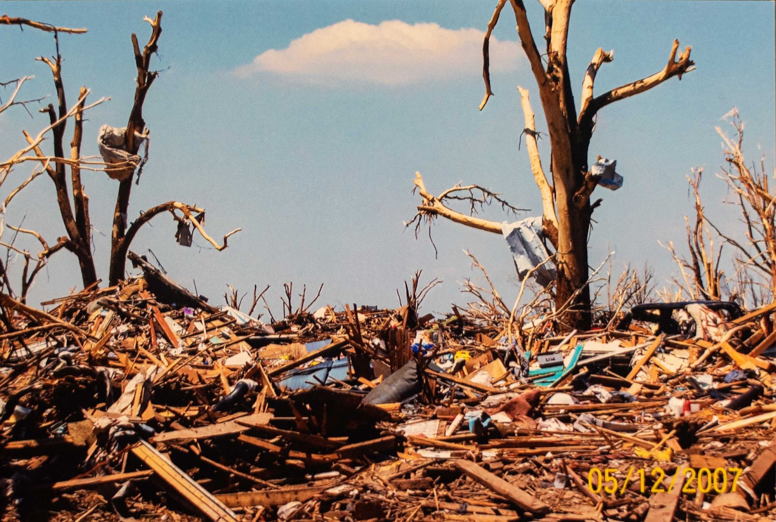 Photo of trees with broken limbs surrounded by debris from destroyed buildings. 