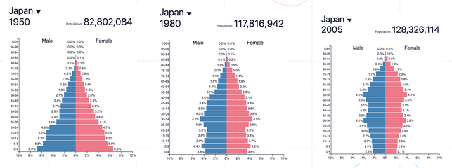 iGCSE Geography revision notes,Population Structure