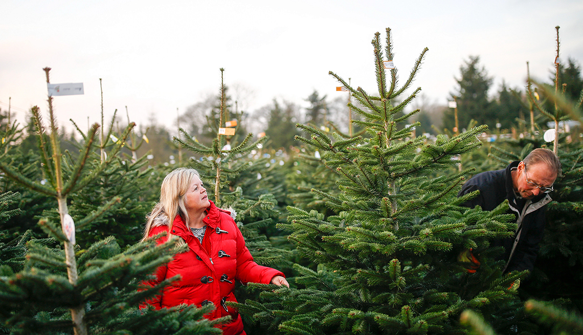 Maximize holiday savings by scouting for early deals and using loyalty discounts at Christmas tree shops