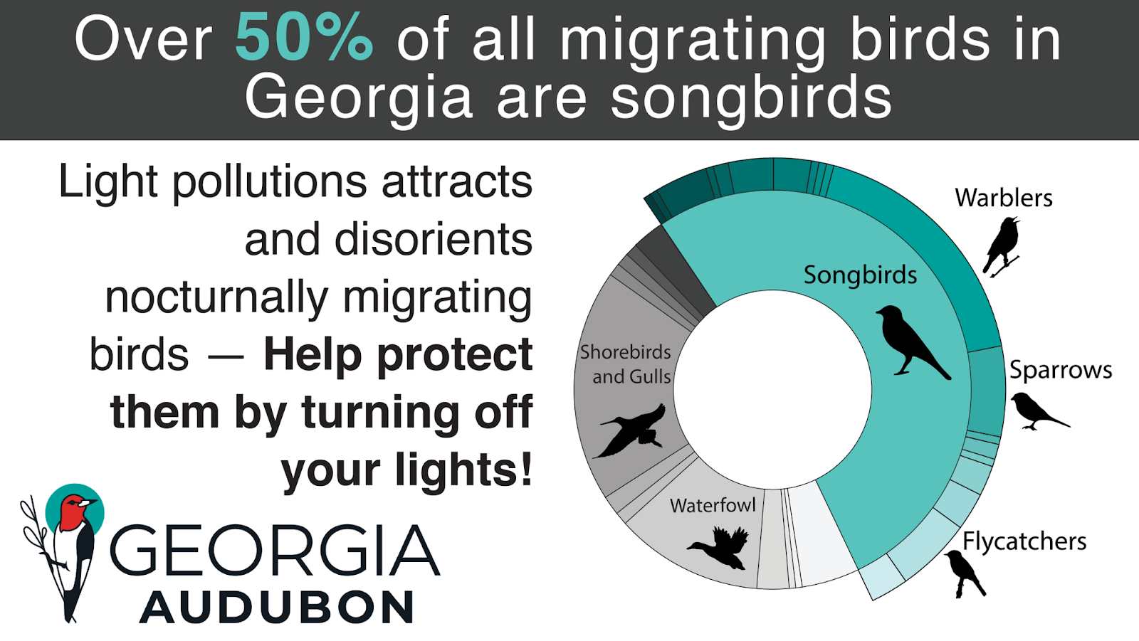 Georgia Audubon graphic indicating that over 50% of all migrating birds in Georgia are songbirds. Light pollution attracts and disorients nocturnally migraing birds -- help protect them by turnig off yur lights!