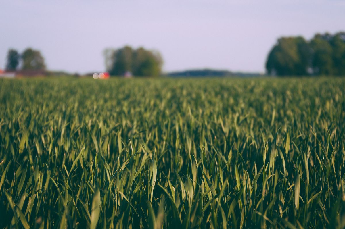 Wealth and Abundance: Soil and Sand Dream Meanings