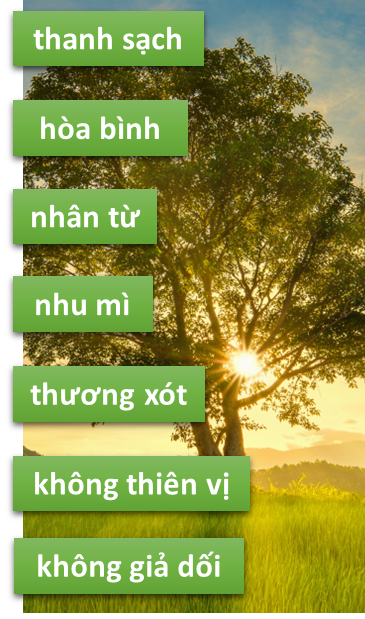 cây sự sống