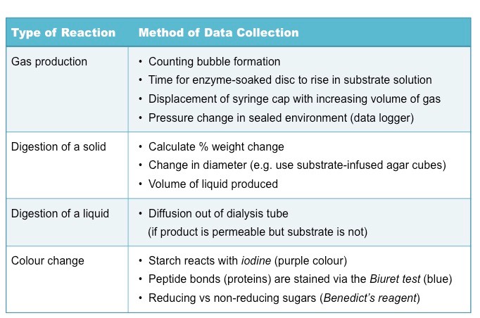 enzyme table 2