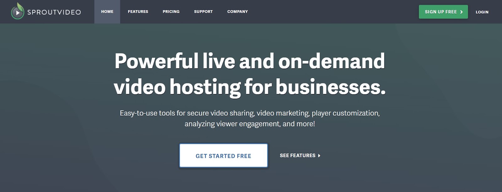 best streaming services platform SproutVideo