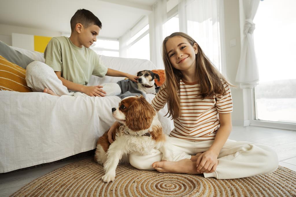 Pet em apartamento: veja como tornar o espaço mais confortável para o animal