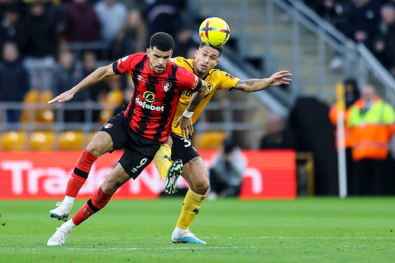 Thành Tích Đối Đầu Giữa Wolves vs Bournemouth