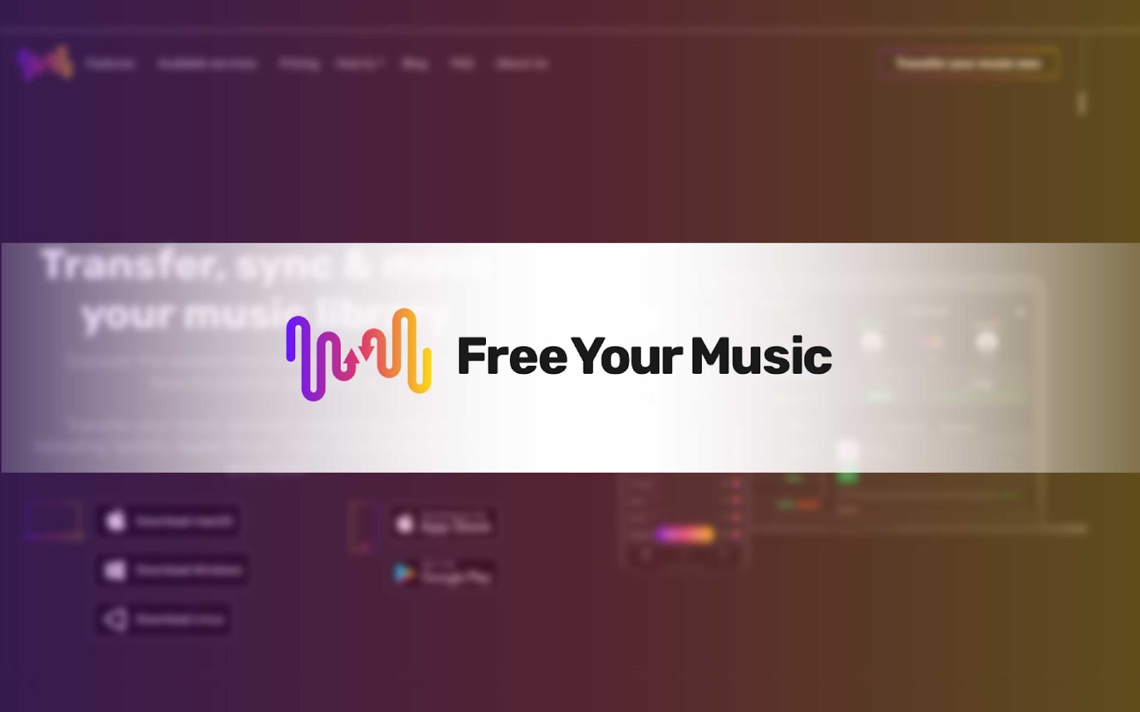 FreeYourMusic - 