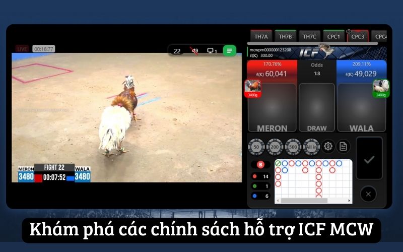 Khám phá các chính sách hỗ trợ ICF MCW