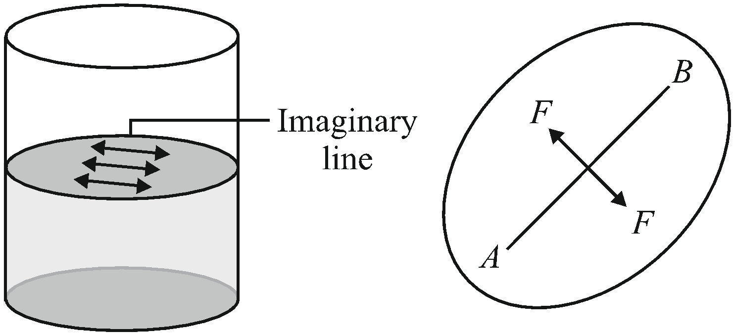 Surface Tension In Physics Surface Energy Force Of Cohesion Important Topics For Jee 2024 Pw