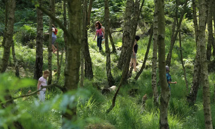 Dive Into Nature Outdoor Escapes