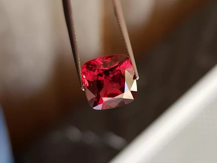 9. Spinello Rosso
