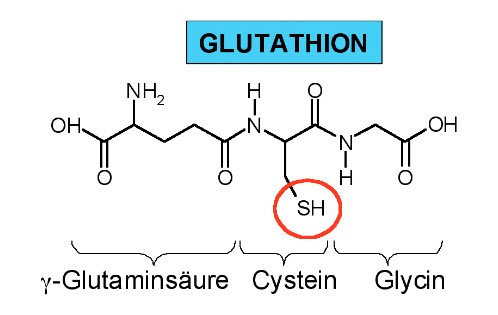 Chemische Glutathionverbindung