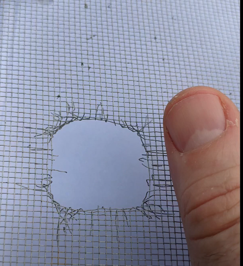 The hole made by the author. It looks very similar to those in the drawing. 

Source: Blake Smith