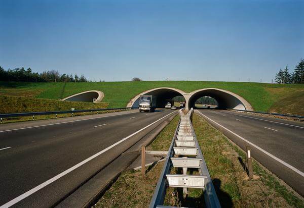 Green Bridges and Tunnels at Ecoduct De Woeste Hoeve, Netherlands 