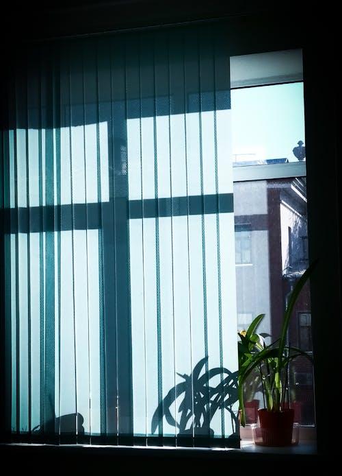 Free Blinds in the Window Stock Photo