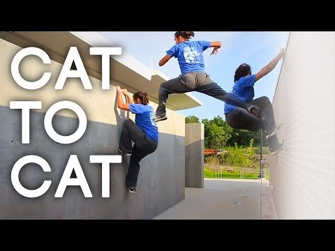 Best Parkour Tricks You Should Try - Cat to Cat