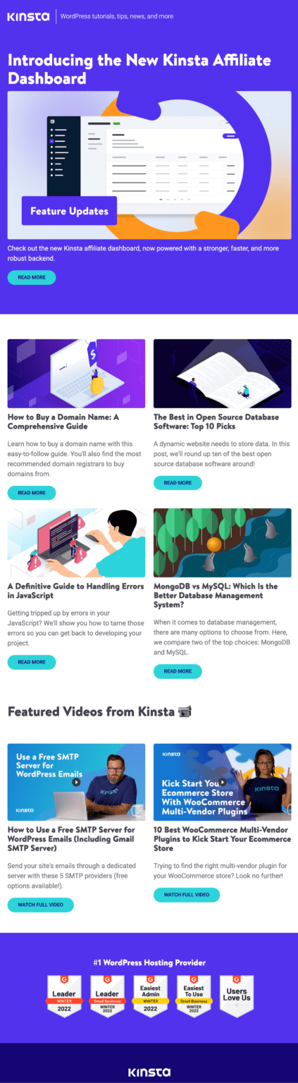 Kinsta email newsletter example