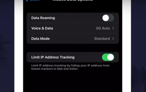 Disable data roaming on iPhone