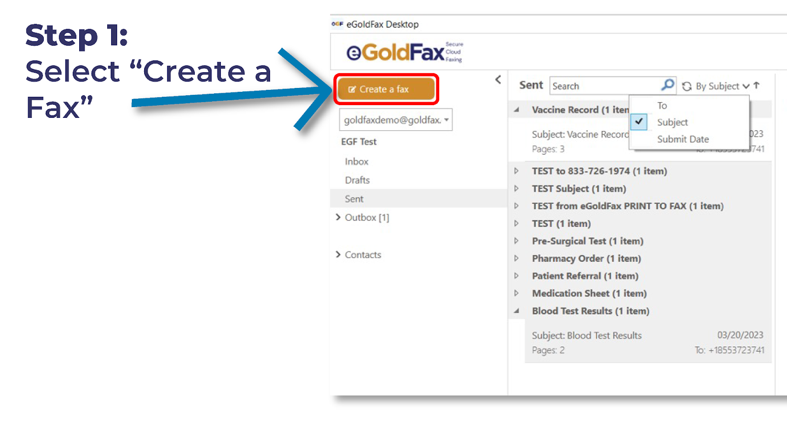 egoldfax instructions for faxing from egoldfax desktop application 