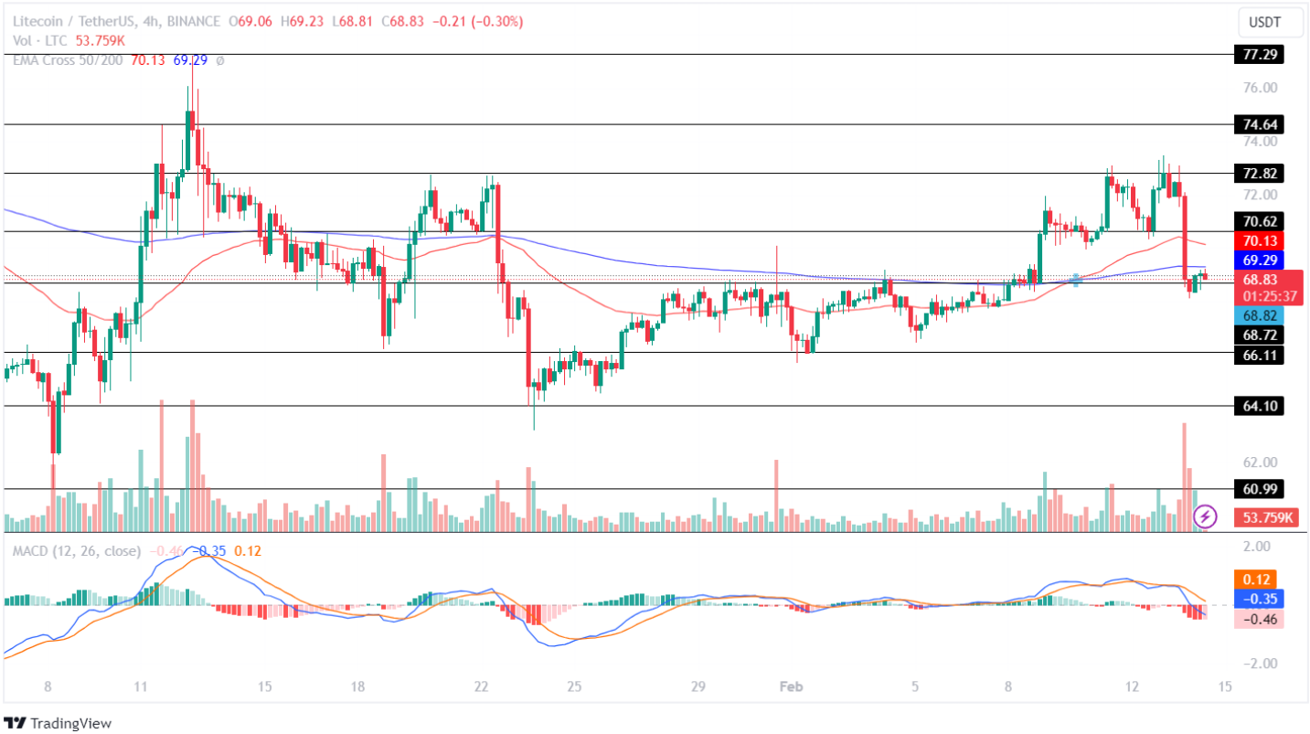 Litecoin Price Analysis