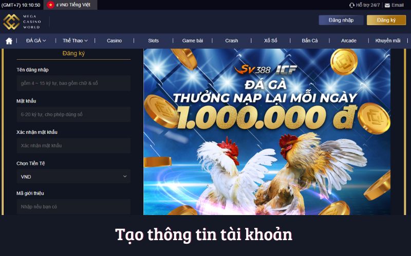 Tạo thông tin tài khoản